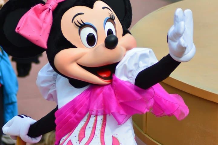 Disneyland Paris Private Transfer to or from CDG, Orly or Paris