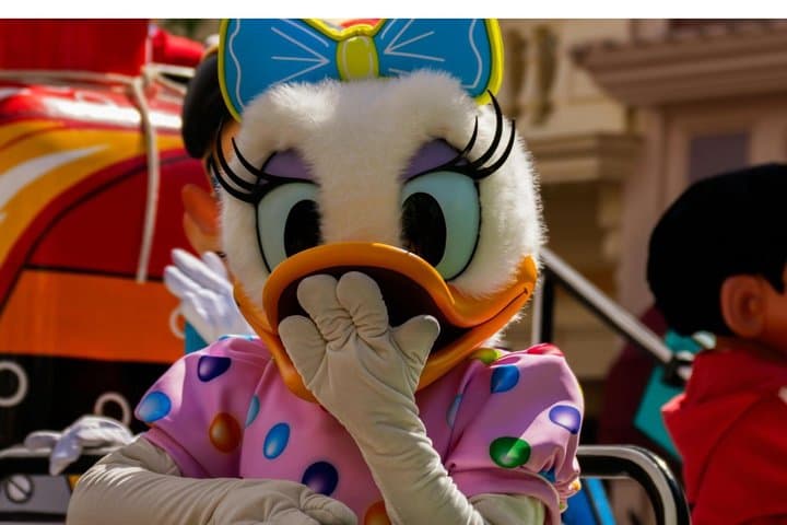 Disneyland Paris Private Transfer to or from CDG, Orly or Paris
