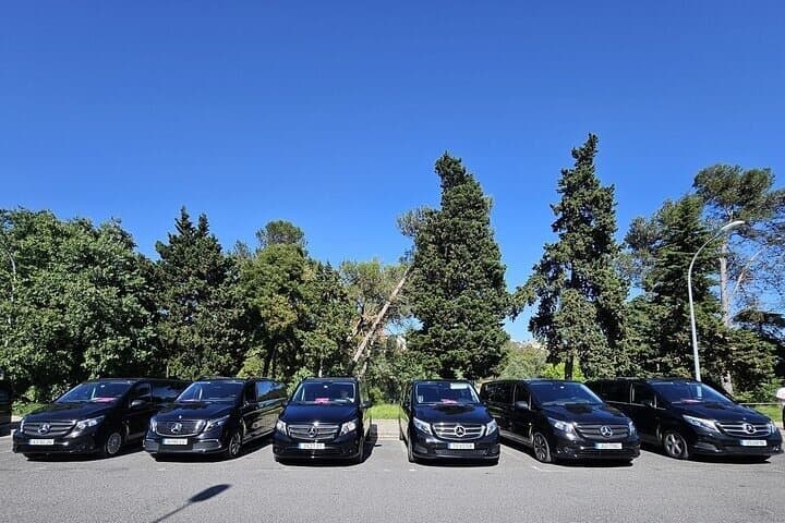 Paris Private Transfer to Disneyland Paris One Way or Round Trip