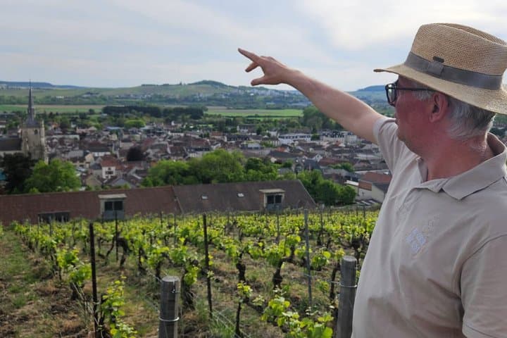 Gourmet walk to Aÿ Champagne Vineyard and Tasting