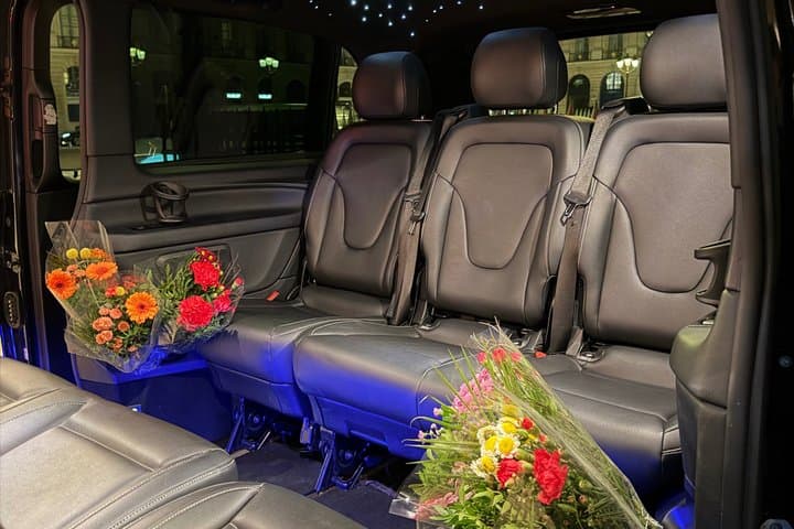 Private Tour of Paris in Mercedes V-Luxe Comfort Class