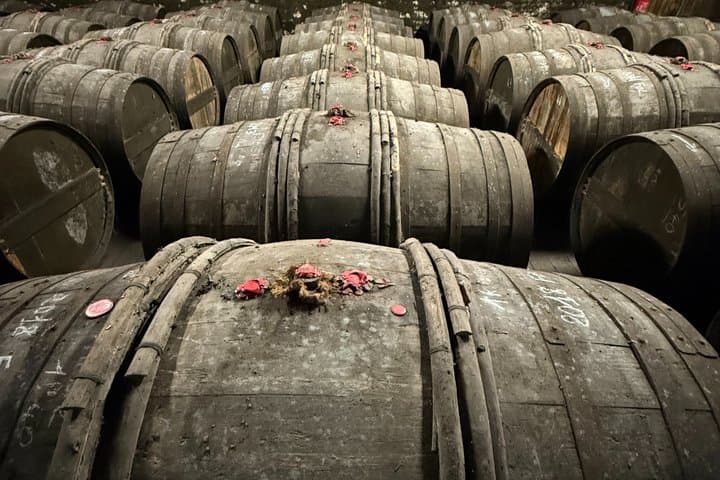 Private Full Day Tour to Cognac from Bordeaux