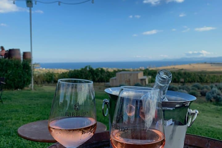 Exclusive Saint-Honorat Monk's Wine Experience from Cannes