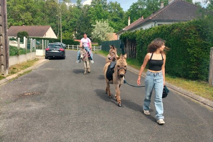 Donkey rides on foot