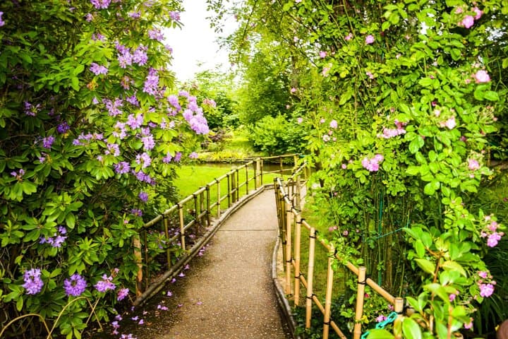 From Paris: Giverny & Monet’s Garden Round-Trip Tour
