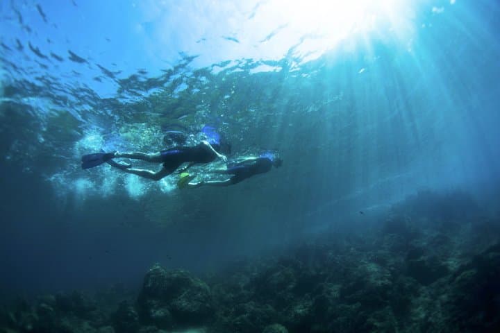 Boat Snorkeling Adventure: Nice-Mala cave-bay of Villefranche