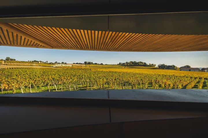 Private Tour in Saint-ÐÉmilion : Wineries GRAND CRU CLASSE