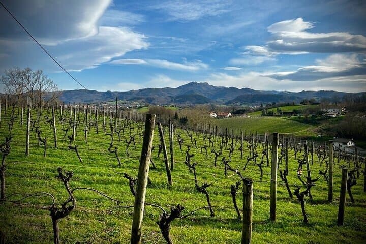 Biarritz to Basque Beauty Premium Van Tour of Fontarrabie
