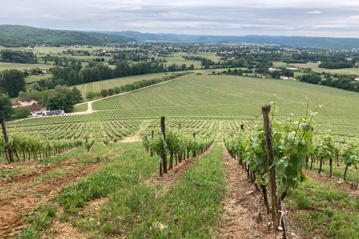 Private Cahors Wine and Saint Cirq Lapopie Day Tour