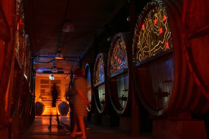 Wine tasting and shake the wine