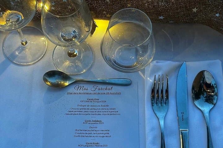 Elegant country dinner and moonlight ride