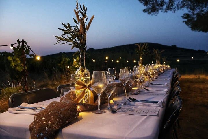 Elegant country dinner and moonlight ride