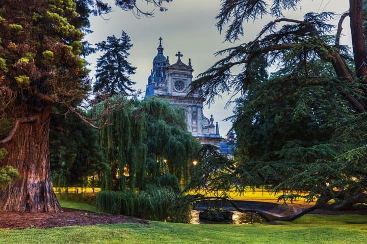 From Paris Loire Valley Half Day Castle and Wine Tour