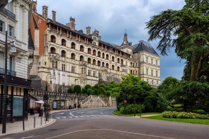 From Paris Loire Valley Half Day Castle and Wine Tour