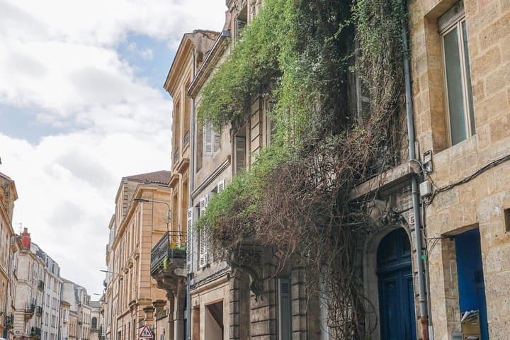 Bordeaux historical gourmet guided tour in small group