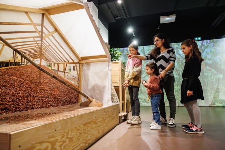 Colmar: Choco-Story Chocolate Museum Visit