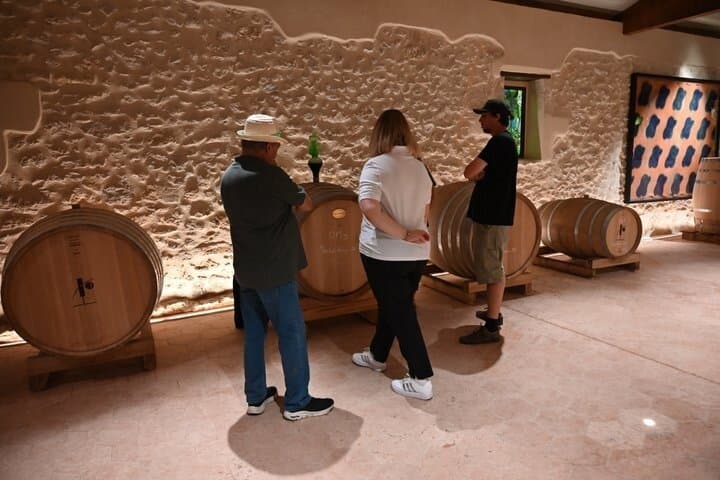 Explore Authentic Tasting Organic Wines Bordeaux