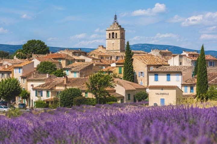 Aix-en-Provence: Private Lavender Sunset Tour. Only you