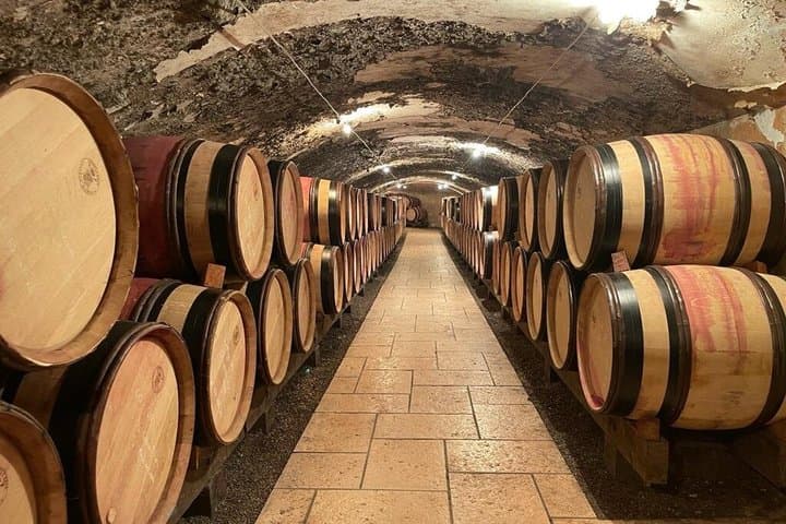 Exclusive Wine Tour and Tasting in the Rhone