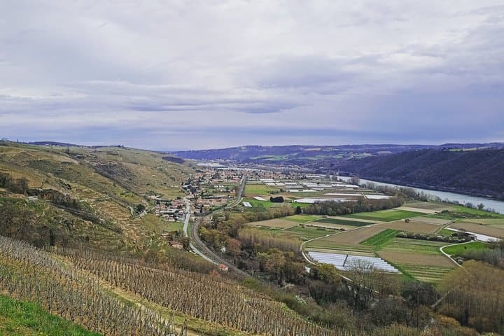 Exclusive Wine Tour and Tasting in the Rhone