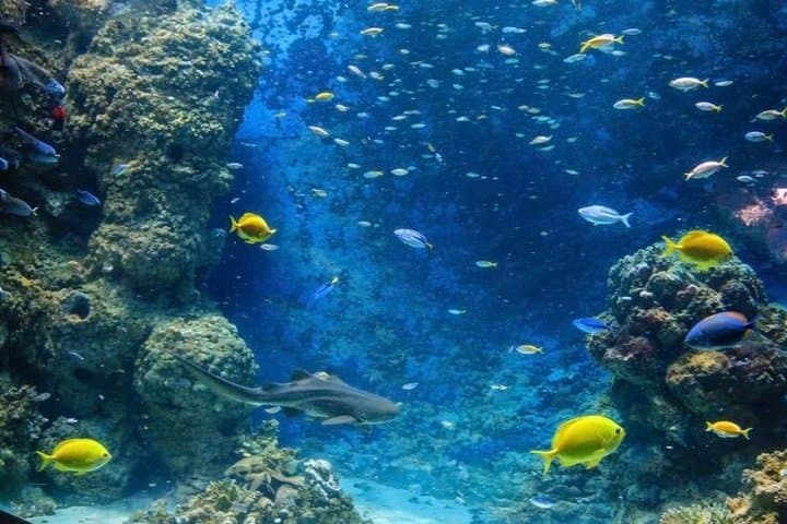 Aquarium de Paris Entry Ticket