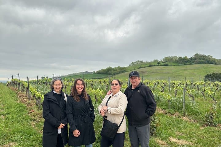 Albi, Cordes and Gaillac Day Tour from Toulouse