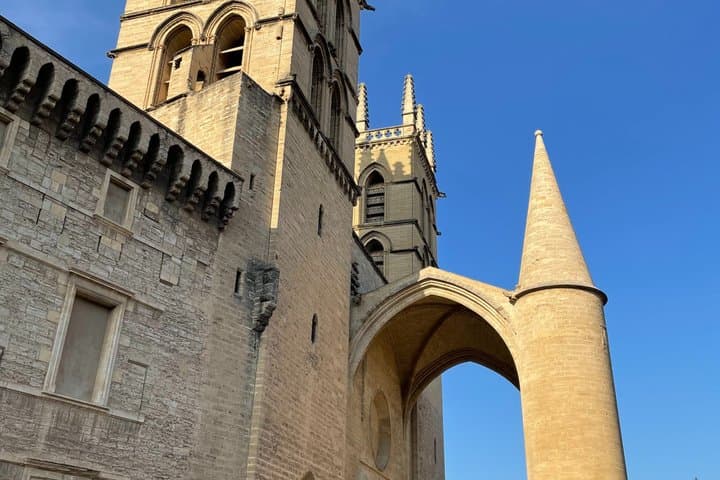 Private Historic Walk and Tastings in Montpellier