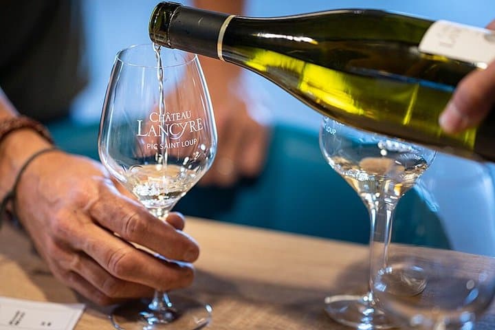 Private Half Day Wine and Oyster Tasting Tour from Cap d'Agde