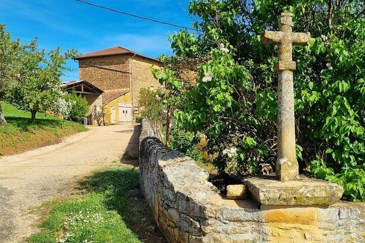Beaujolais Wine Tour Golden Stones