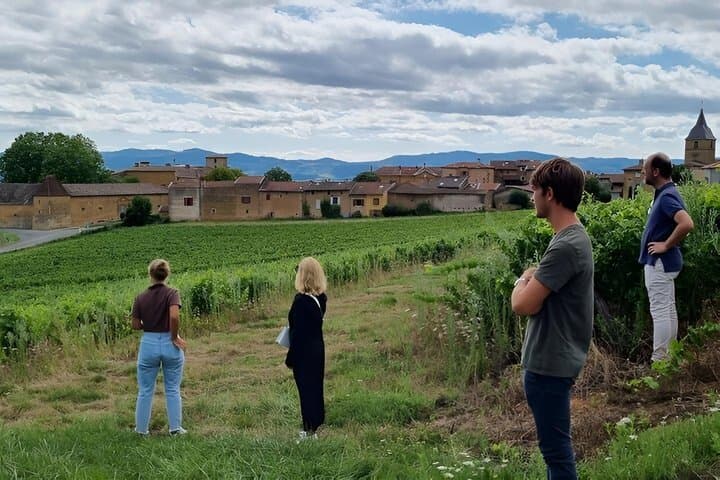 Beaujolais Wine Tour Golden Stones