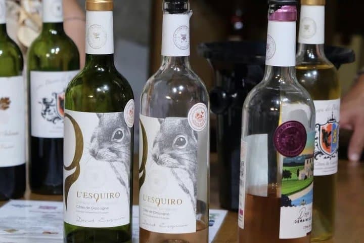 Visit and Tasting, Discovery, Wine tasting