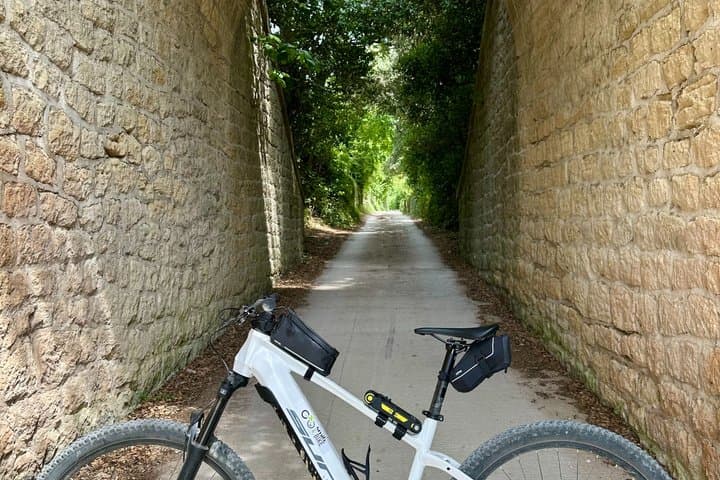 Electric bike rental in Sommières VAE type VTC And MTB