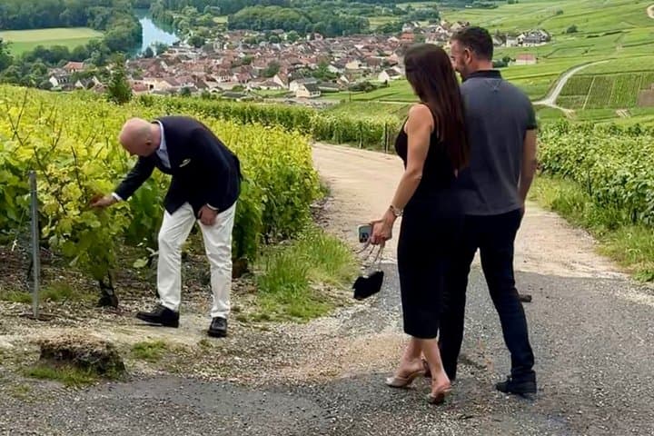 Private Trip: Tour in Epernay & Champagne Tastings from Paris