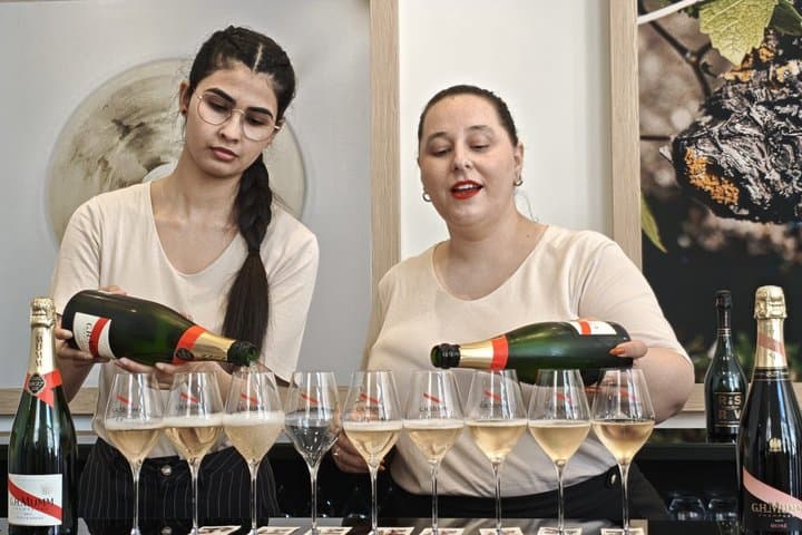 Champagne Day Trip from Paris with 7 Tastings Prestigious Houses