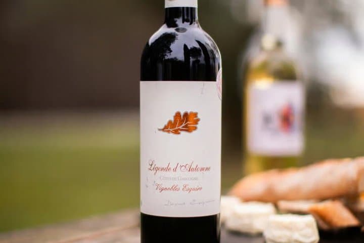 Domaine de la Higuère, Tour, Tasting and Accords Food, Wines