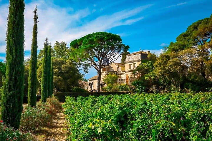 Wines of Châteauneuf-du-Pape, History, Heritage, Finest Vineyards