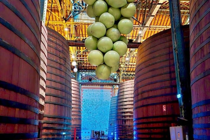 Tautavel Caramany and Byrrh Wine Tour