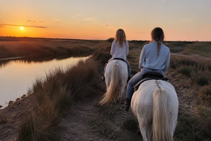 Scenic Horseback Ride Through the Camargue