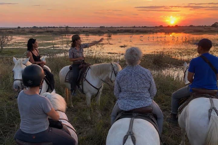 Romantic Sunset Nature Ride on Horseback in the Camargue