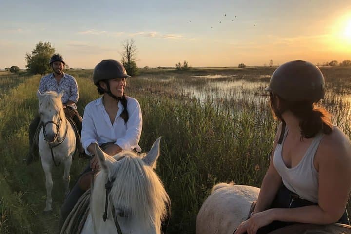 Romantic Sunset Nature Ride on Horseback in the Camargue