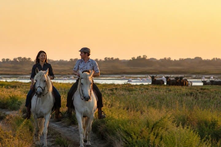 Romantic Sunset Nature Ride on Horseback in the Camargue