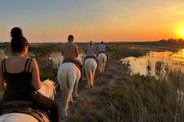 Romantic Sunset Nature Ride on Horseback in the Camargue