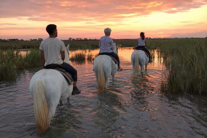 Romantic Sunset Nature Ride on Horseback in the Camargue