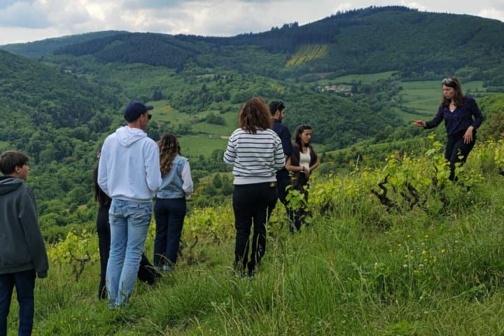Beaujolais Wine Tasting Tour from Lyon