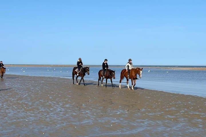 Private Normandy Coastal Day Trip from Paris