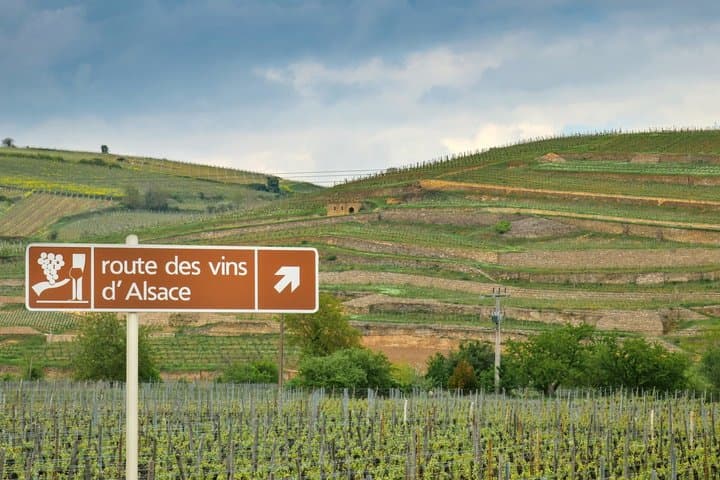 Local Craft Guide: Vineyard Tour, Winery & 6 Wines - Ammerschwihr