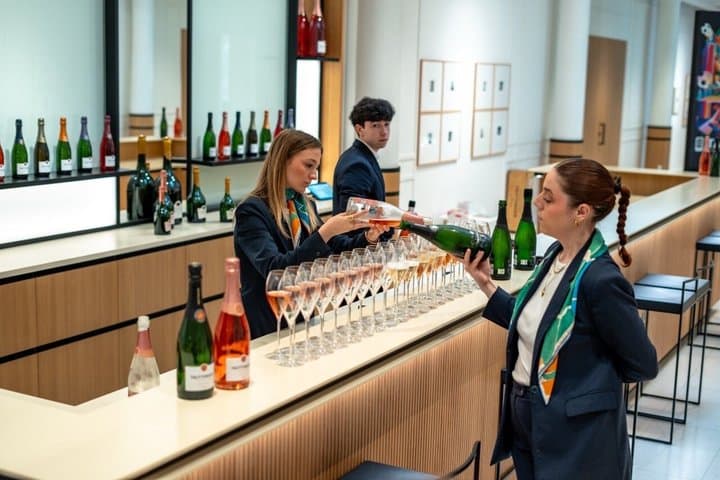 Small Group Champagne Tour from Paris, Tastings and Hotel Pickup