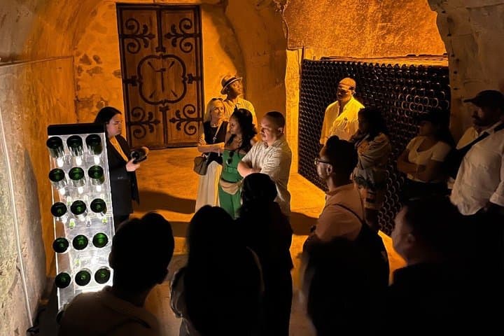 Small Group Champagne Tour from Paris, Tastings and Hotel Pickup