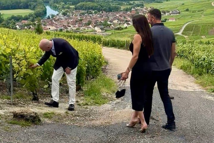 Small Group Champagne Tour from Paris, Tastings and Hotel Pickup