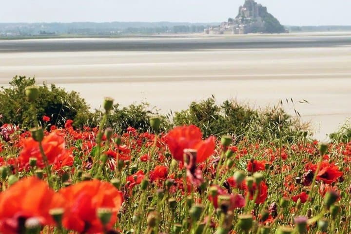 Never Defeated: Mont Saint-Michel Self-Guided Walking Tour